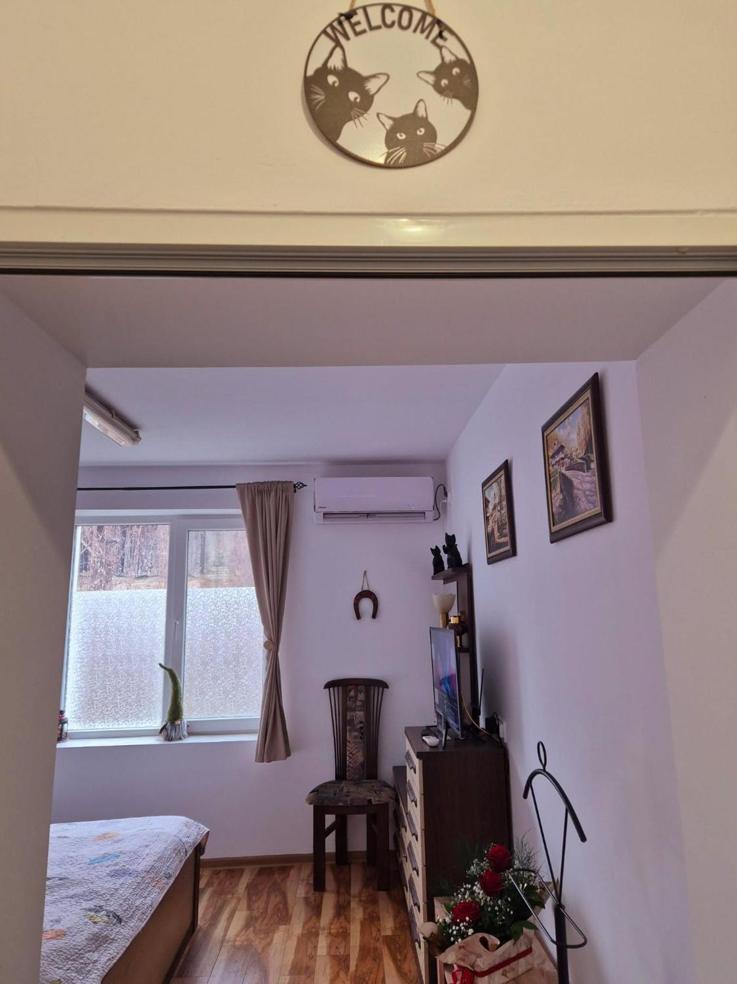 Apartment Shesti Uchastak Gabrovo Eksteriør billede
